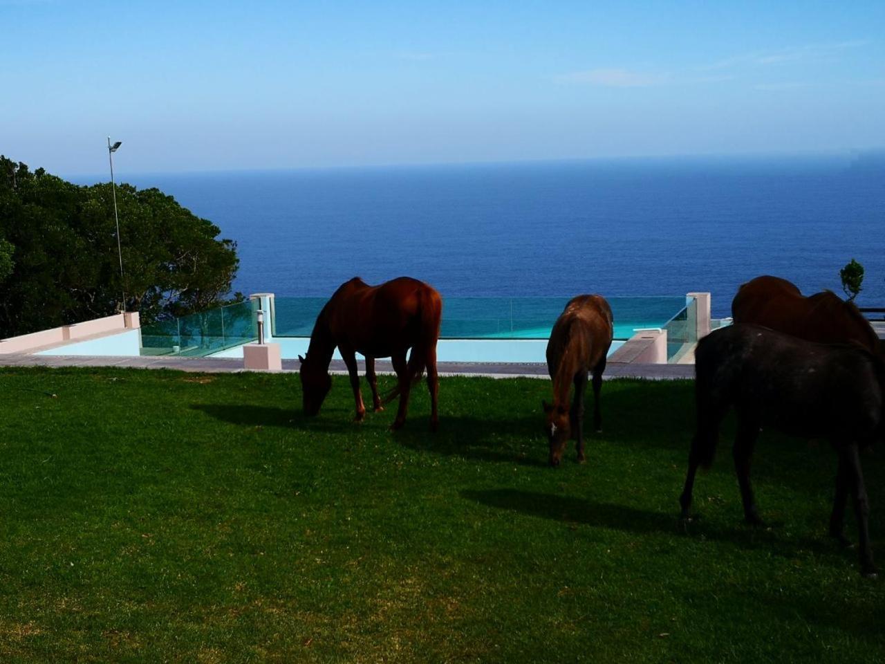 Tsitsikamma On Sea Resort Witelsbos Extérieur photo