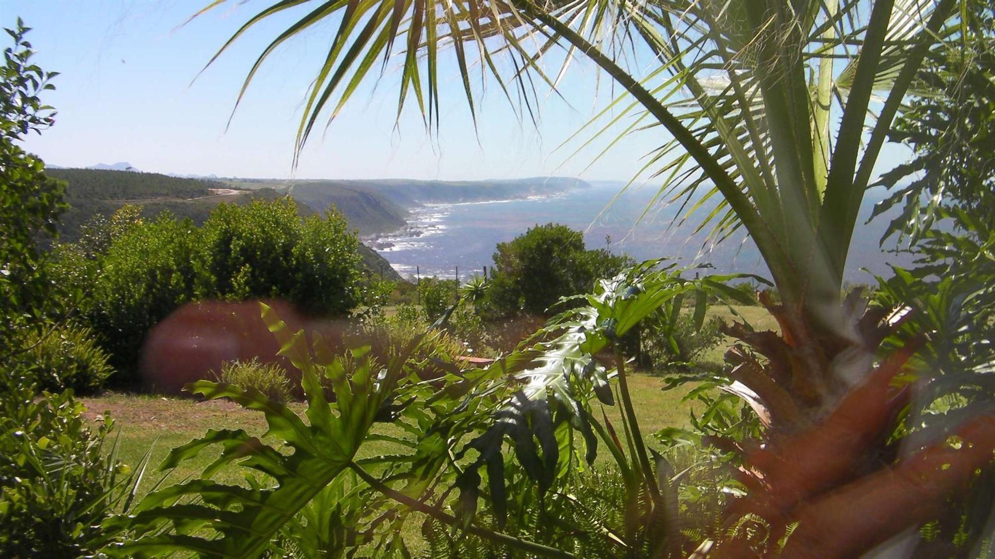 Tsitsikamma On Sea Resort Witelsbos Extérieur photo